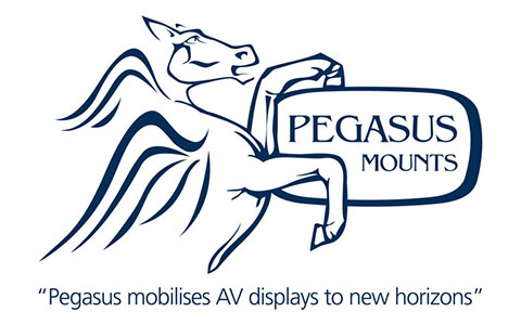 Pegasus Mounts business pack