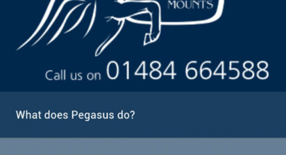 Pegasus mounts website